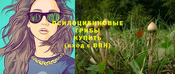 тгк Алзамай