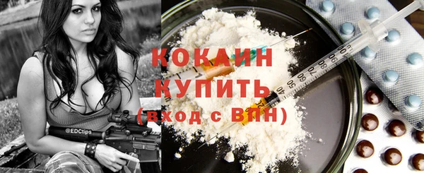 тгк Алзамай